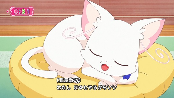 『わんだふるぷりきゅあ！ 』第25話…待ちに待った水着回！ 今週も気ぶりまゆちゃん大活躍！