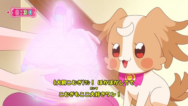 『わんだふるぷりきゅあ！ 』第25話…待ちに待った水着回！ 今週も気ぶりまゆちゃん大活躍！