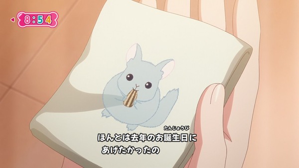 『わんだふるぷりきゅあ！ 』第31話…まゆがキュアスタに挑戦！ 友真との再会でどうなる？