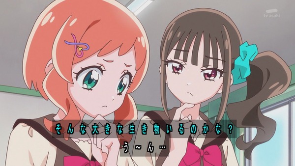 『わんだふるぷりきゅあ! 』第11話…みんなで仲良くピクニック! 謎の美少女も登場!