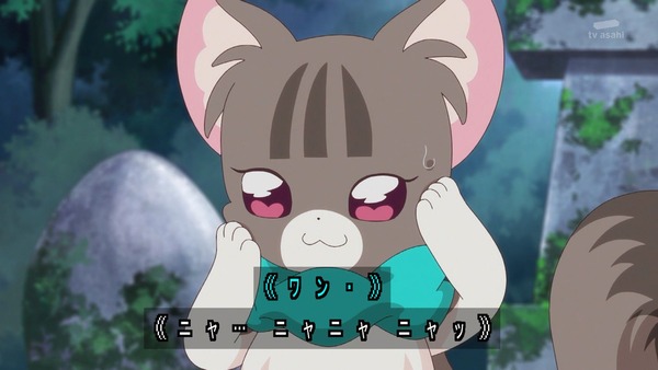 『わんだふるぷりきゅあ! 』第40話…大事件!? いろはとまゆがワンニャンに!