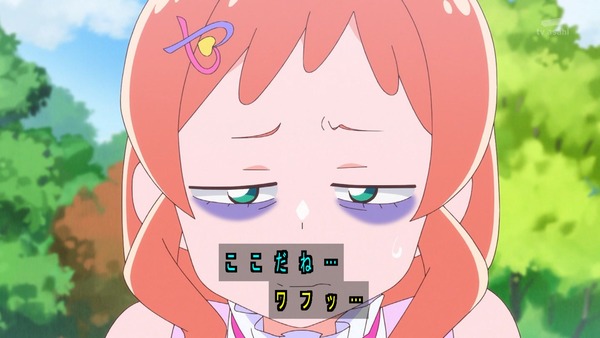 『わんだふるぷりきゅあ! 』第38話…ずっと一緒にいたい! こむぎといろはの強い絆!