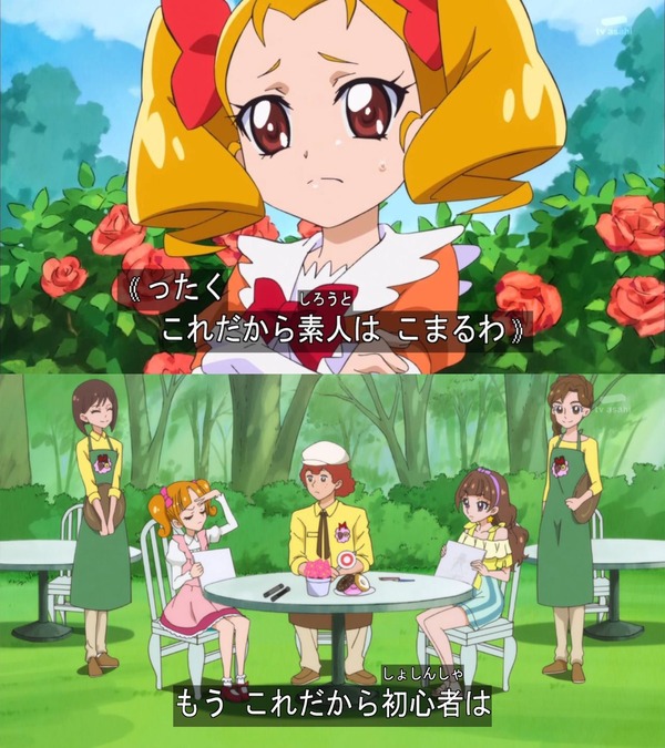 『プリキュアシリーズ』のプリキュア以外の女性キャラ