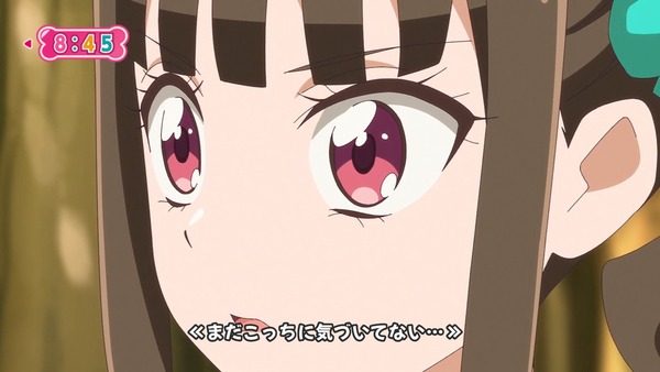 『わんだふるぷりきゅあ! 』第13話…犬組トリオがトロピカってる~!? ニャミーとまゆちゃんは急接近!