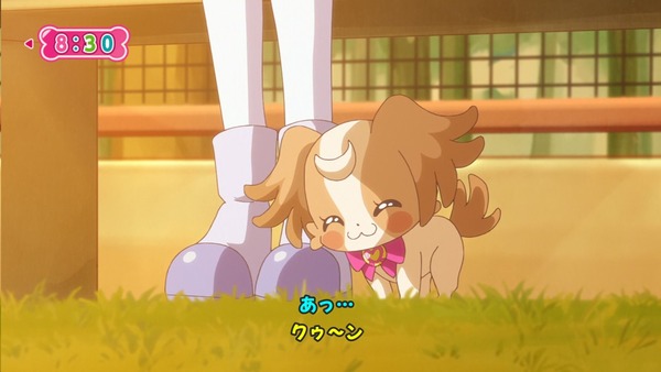 『わんだふるぷりきゅあ! 』第45話…世界中の動物と友達に! トラメとの約束