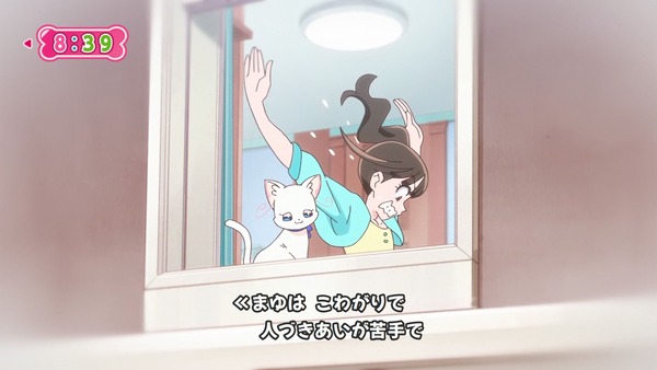 『わんだふるぷりきゅあ! 』第34話…猫集会初参加! ユキのやりたかったこと!