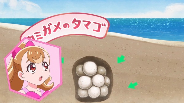 『わんだふるぷりきゅあ！ 』第25話…待ちに待った水着回！ 今週も気ぶりまゆちゃん大活躍！