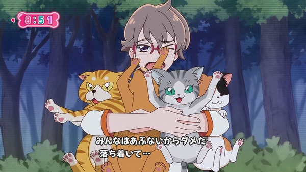 『わんだふるぷりきゅあ! 』第34話…猫集会初参加! ユキのやりたかったこと!