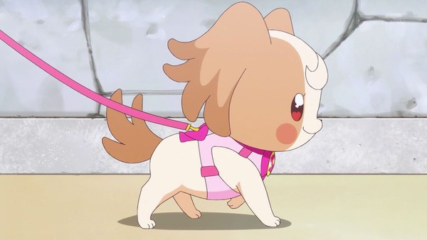 『わんだふるぷりきゅあ! 』第45話…世界中の動物と友達に! トラメとの約束