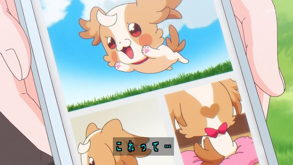 『わんだふるぷりきゅあ! 』第38話…ずっと一緒にいたい! こむぎといろはの強い絆!