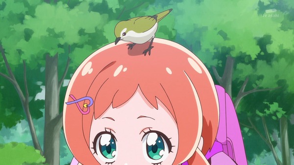 『わんだふるぷりきゅあ! 』第11話…みんなで仲良くピクニック! 謎の美少女も登場!