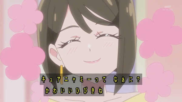 『わんだふるぷりきゅあ! 』第13話…犬組トリオがトロピカってる~!? ニャミーとまゆちゃんは急接近!