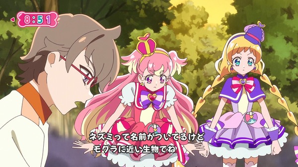 『わんだふるぷりきゅあ! 』第13話…犬組トリオがトロピカってる~!? ニャミーとまゆちゃんは急接近!