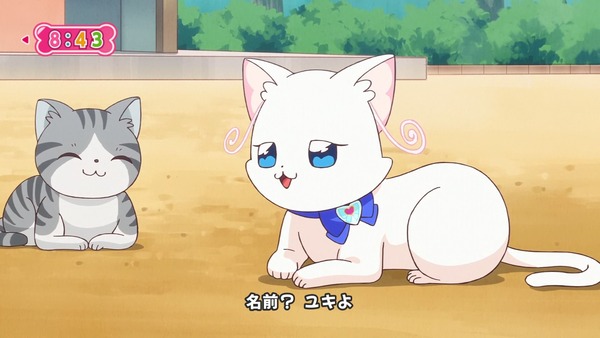 『わんだふるぷりきゅあ! 』第34話…猫集会初参加! ユキのやりたかったこと!