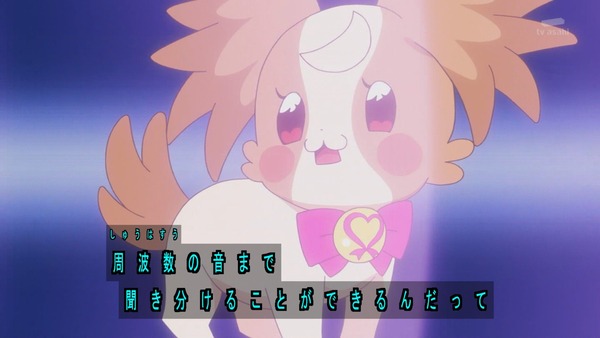 『わんだふるぷりきゅあ！ 』第14話…ユキの病気とまゆのはじめてのお泊り