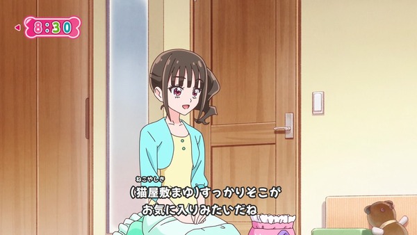 『わんだふるぷりきゅあ！ 』第25話…待ちに待った水着回！ 今週も気ぶりまゆちゃん大活躍！