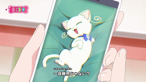 『わんだふるぷりきゅあ! 』第31話…まゆがキュアスタに挑戦! 友真との再会でどうなる?
