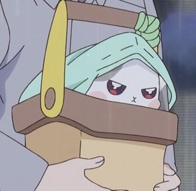 『わんだふるぷりきゅあ! 』第44話…今までありがとう! みんなで祝うフクちゃんの誕生日パーティー!