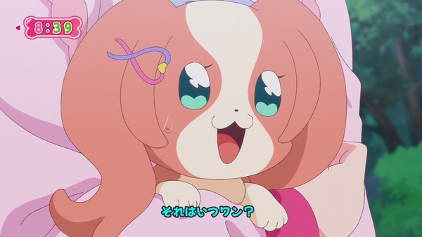 『わんだふるぷりきゅあ! 』第40話…大事件!? いろはとまゆがワンニャンに!