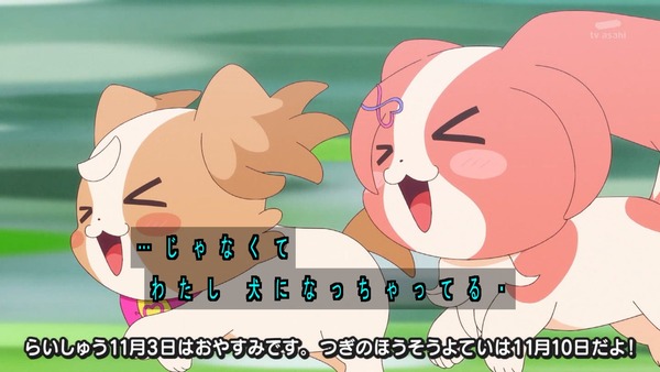 『わんだふるぷりきゅあ！ 』第39話…アニマルタウンは楽しいハロウィン！ こむぎとガオウのであい！