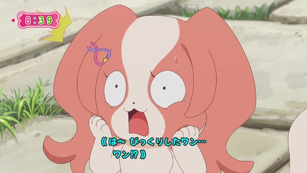 『わんだふるぷりきゅあ! 』第40話…大事件!? いろはとまゆがワンニャンに!