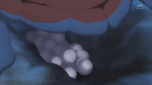 『わんだふるぷりきゅあ！ 』第25話…待ちに待った水着回！ 今週も気ぶりまゆちゃん大活躍！