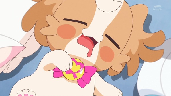 『わんだふるぷりきゅあ! 』第26話…暑すぎてヤバい! 熱中症注意喚起のギャグ回だけと真面目回!