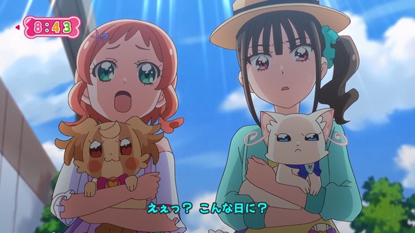 『わんだふるぷりきゅあ! 』第26話…暑すぎてヤバい! 熱中症注意喚起のギャグ回だけと真面目回!