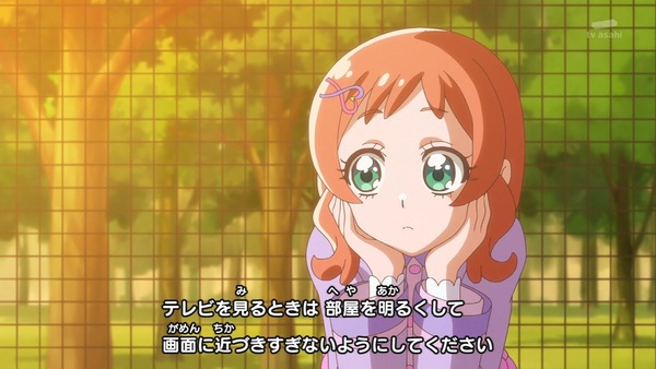 『わんだふるぷりきゅあ! 』第45話…世界中の動物と友達に! トラメとの約束
