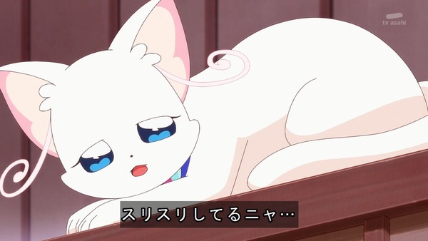 『わんだふるぷりきゅあ! 』第34話…猫集会初参加! ユキのやりたかったこと!