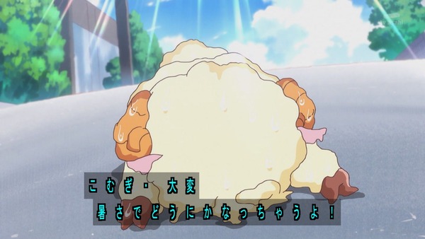 『わんだふるぷりきゅあ！ 』第25話…待ちに待った水着回！ 今週も気ぶりまゆちゃん大活躍！