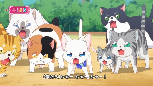 『わんだふるぷりきゅあ! 』第34話…猫集会初参加! ユキのやりたかったこと!