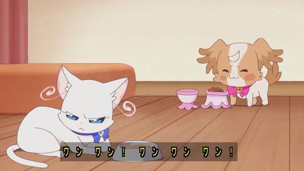 『わんだふるぷりきゅあ！ 』第14話…ユキの病気とまゆのはじめてのお泊り