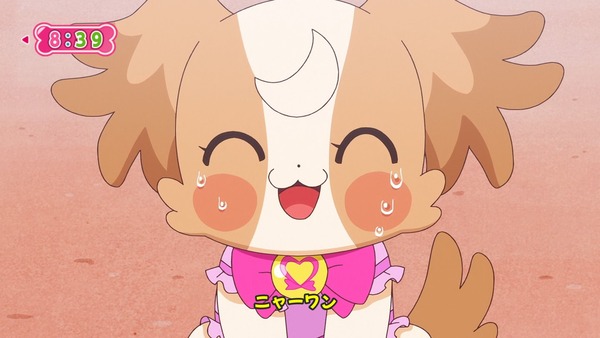 『わんだふるぷりきゅあ! 』第13話…犬組トリオがトロピカってる~!? ニャミーとまゆちゃんは急接近!