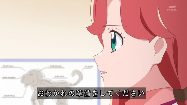 『わんだふるぷりきゅあ! 』第44話…今までありがとう! みんなで祝うフクちゃんの誕生日パーティー!