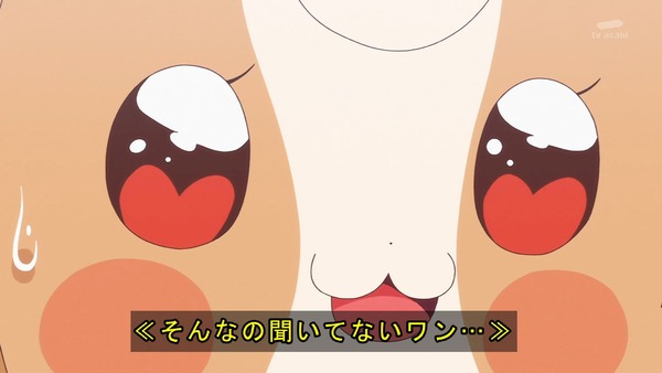 『わんだふるぷりきゅあ! 』第38話…ずっと一緒にいたい! こむぎといろはの強い絆!
