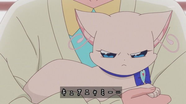 『わんだふるぷりきゅあ！ 』第14話…ユキの病気とまゆのはじめてのお泊り