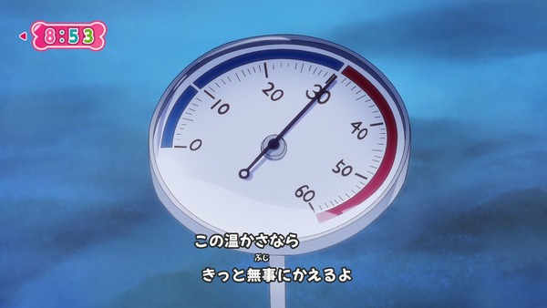 『わんだふるぷりきゅあ！ 』第25話…待ちに待った水着回！ 今週も気ぶりまゆちゃん大活躍！
