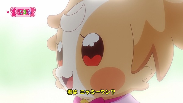 『わんだふるぷりきゅあ! 』第13話…犬組トリオがトロピカってる~!? ニャミーとまゆちゃんは急接近!