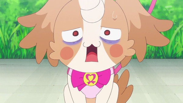 『わんだふるぷりきゅあ! 』第38話…ずっと一緒にいたい! こむぎといろはの強い絆!