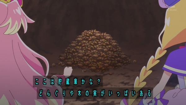 『わんだふるぷりきゅあ! 』第18話…勝手に決めないで! すれちがうユキとまゆ!