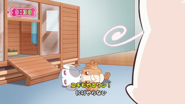 『わんだふるぷりきゅあ! 』第26話…暑すぎてヤバい! 熱中症注意喚起のギャグ回だけと真面目回!