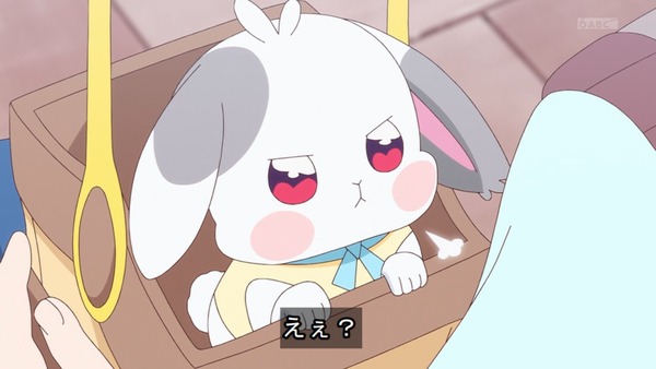 『わんだふるぷりきゅあ! 』第38話…ずっと一緒にいたい! こむぎといろはの強い絆!
