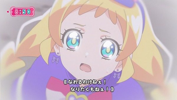 『わんだふるぷりきゅあ! 』第45話…世界中の動物と友達に! トラメとの約束