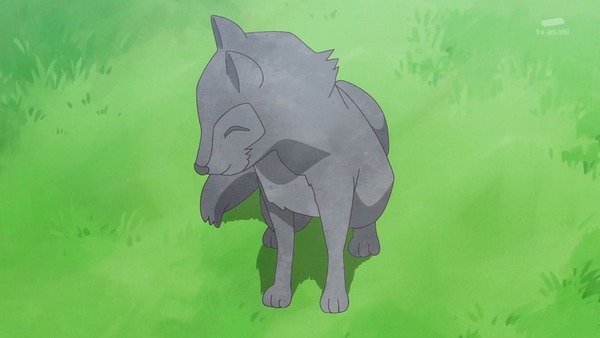 『わんだふるぷりきゅあ！ 』第45話…世界中の動物と友達に！ トラメとの約束