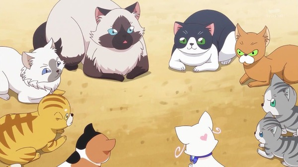 『わんだふるぷりきゅあ! 』第34話…猫集会初参加! ユキのやりたかったこと!