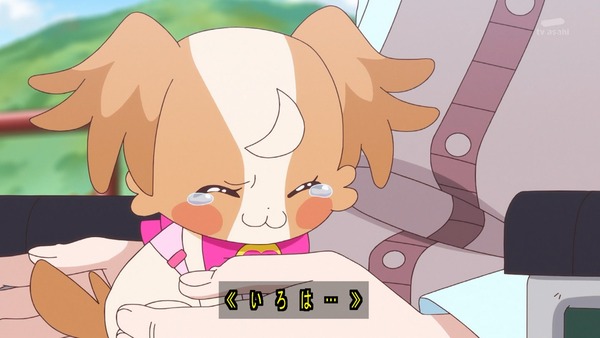 『わんだふるぷりきゅあ! 』第38話…ずっと一緒にいたい! こむぎといろはの強い絆!