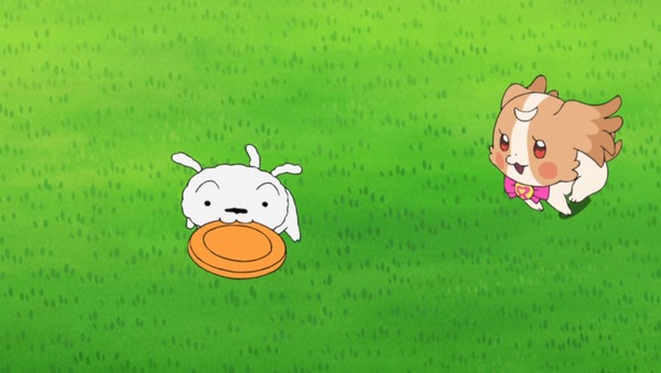 『わんだふるぷりきゅあ!』 かわいくて笑えるクレヨンしんちゃんとの神コラボ回!