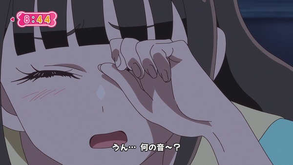 『わんだふるぷりきゅあ！ 』第14話…ユキの病気とまゆのはじめてのお泊り