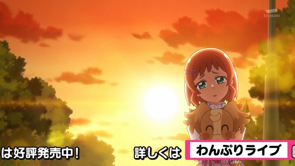 『わんだふるぷりきゅあ! 』第36話…特別なワンダフル! 悟の告白の行方は!?